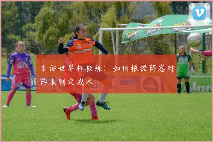 专访世界杯教练：如何根据阵容对阵表制定战术