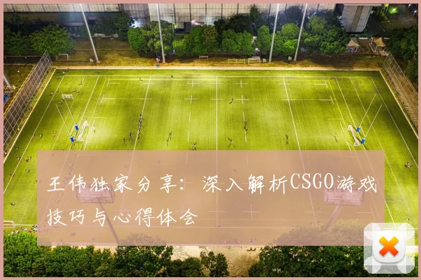 王伟独家分享：深入解析CSGO游戏技巧与心得体会