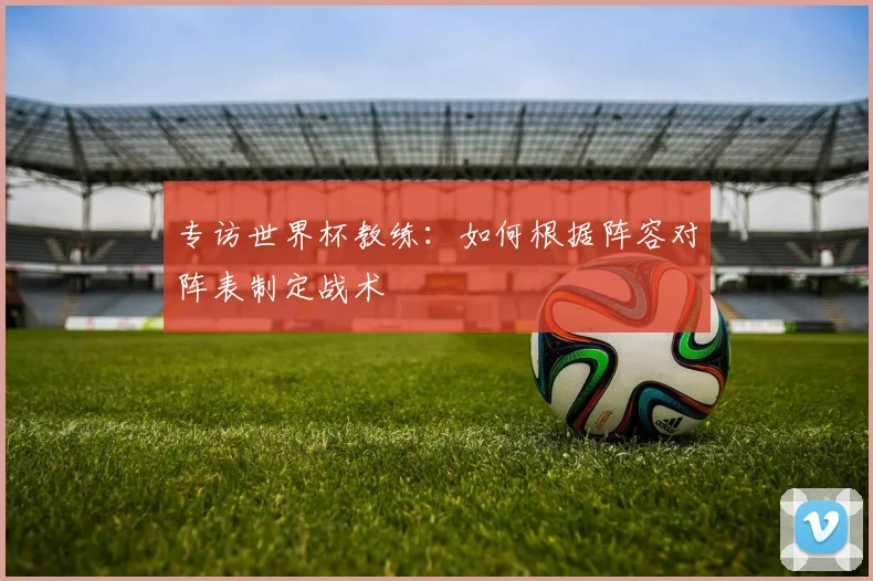 专访世界杯教练：如何根据阵容对阵表制定战术