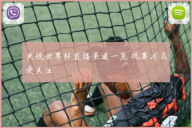 央视世界杯直播渠道一览 观赛方式受关注
