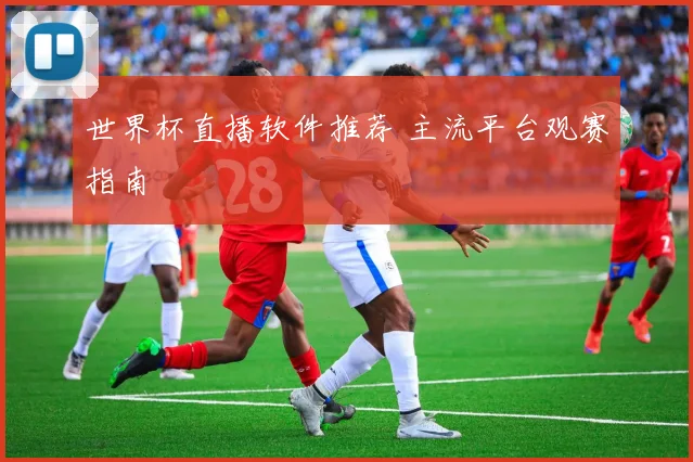 世界杯直播软件推荐 主流平台观赛指南