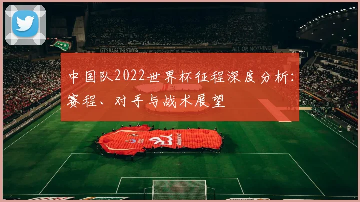 中国队2022世界杯征程深度分析：赛程、对手与战术展望