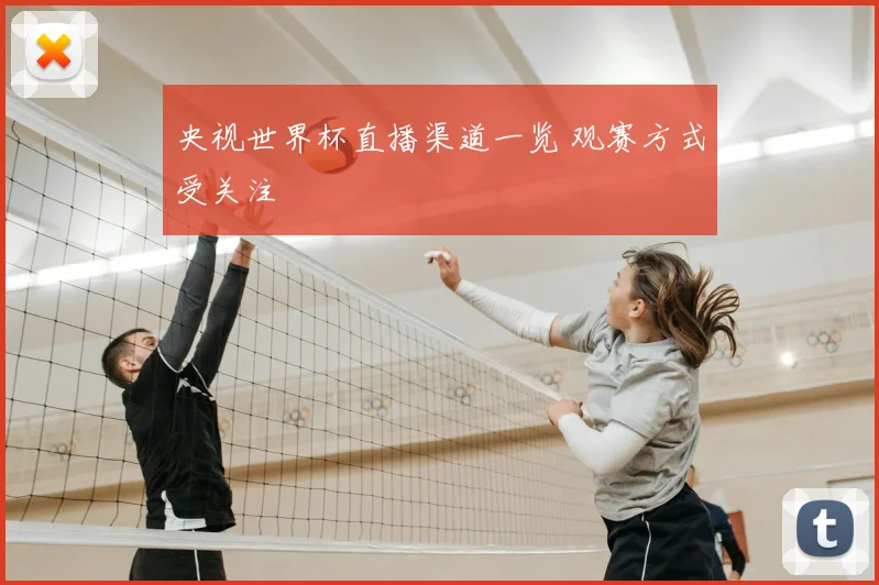 央视世界杯直播渠道一览 观赛方式受关注