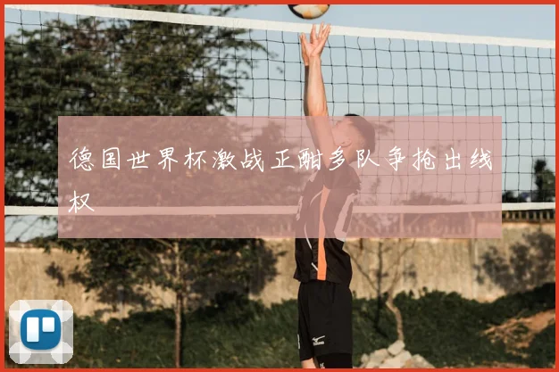德国世界杯激战正酣多队争抢出线权