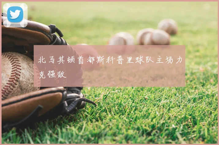 北马其顿首都斯科普里球队主场力克强敌