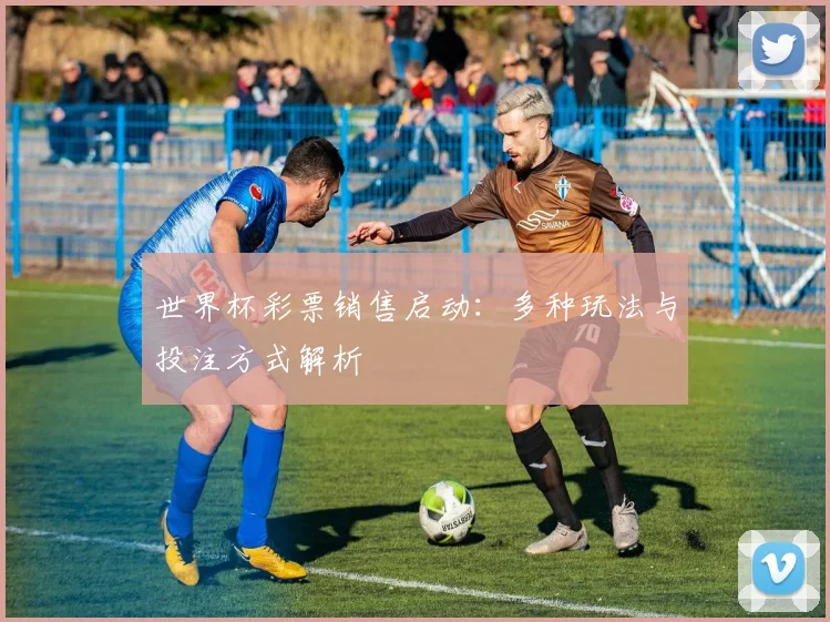 世界杯彩票销售启动：多种玩法与投注方式解析